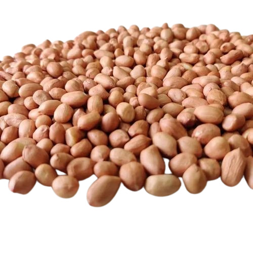 Groundnut Seeds 