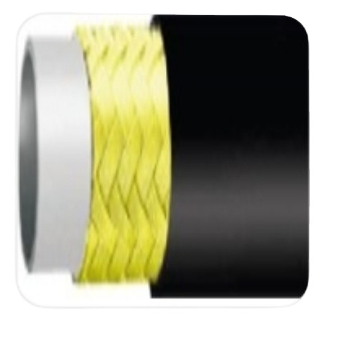 Thermoplastic Hose