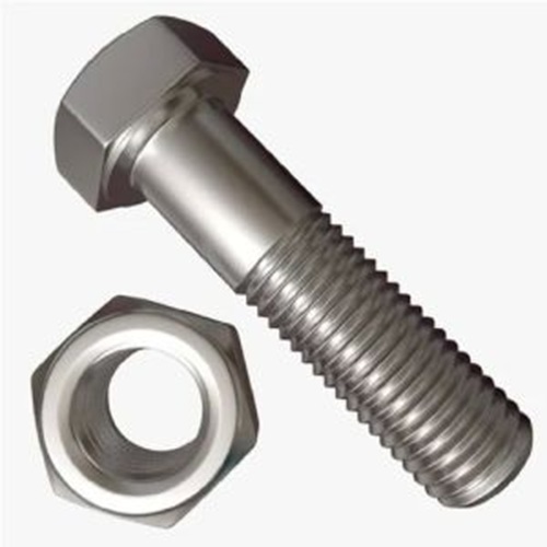 Ss Nut Bolts