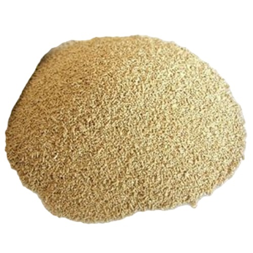 Dried Yeast