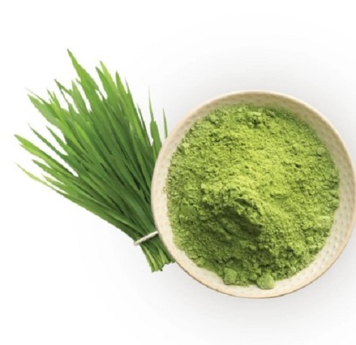 Wheat Grass Powder - Ingredients: Herbs