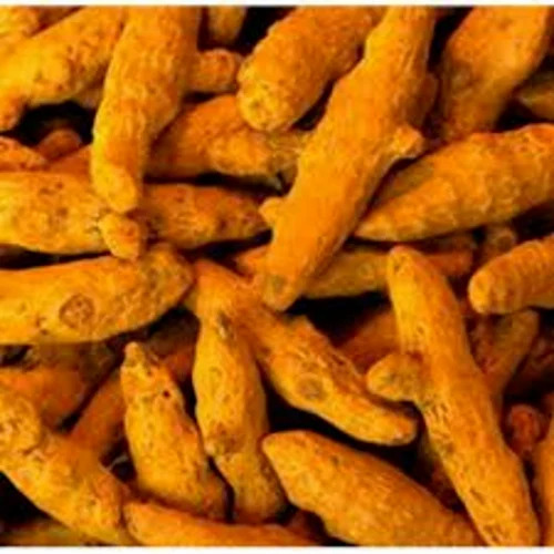 Dried Turmeric Finger