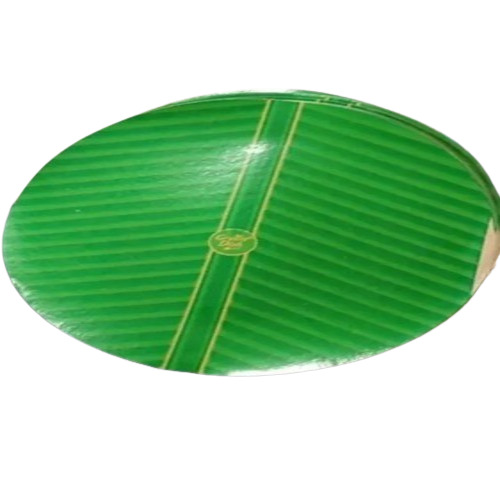 Paper Plate