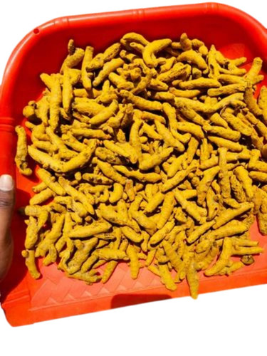 Round Turmeric