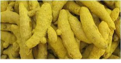 Turmeric Finger