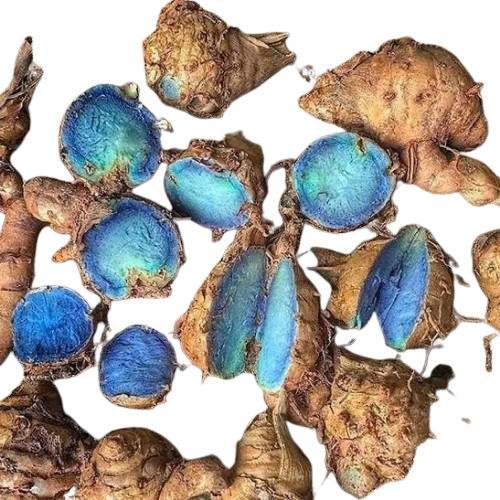 Black Turmeric Rhizomes - Flavor: Bitter