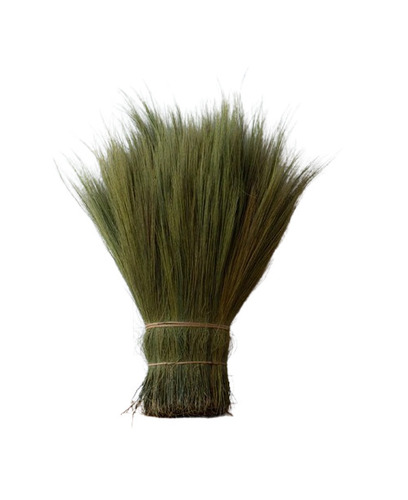 Broom Grass - Color: Green