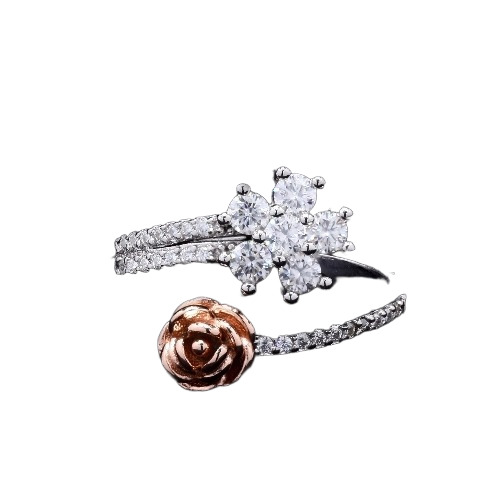 Silver Ring 