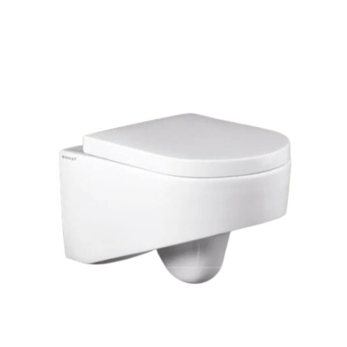 Wall Hung Toilet