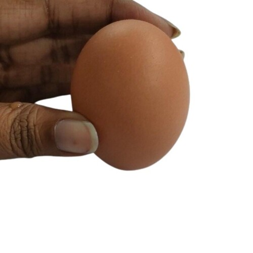 Organic Brown Chicken Eggs