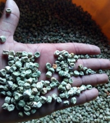 Dried Green Matar