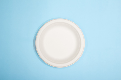 12 Inch Bagasse Round Plate a No Compartment | Eco-Friendly Disposable Tableware