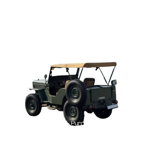 Modified Jeeps In India - Color: Army Green