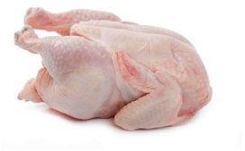 Chicken Meat - Feature: Effective