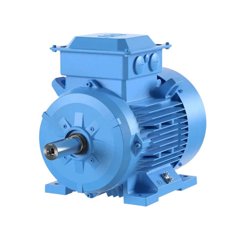 Electric Induction Motor