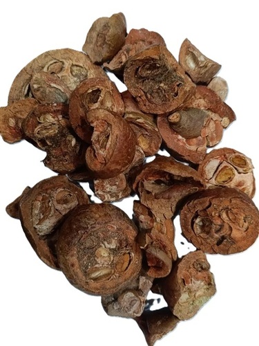 Brown Rudra Wanti Phal