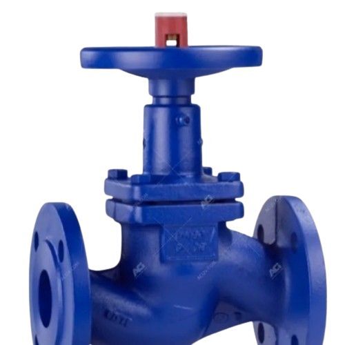 Globe Valve 