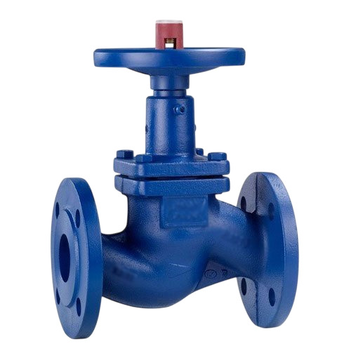 Globe Valve