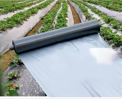 Mulching film
