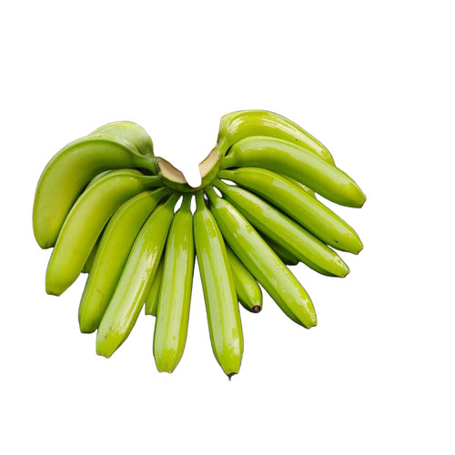 G9 Cavendish Banana