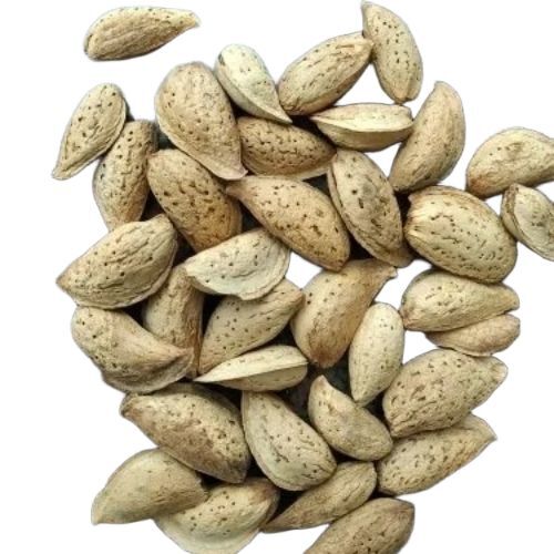 Kashmiri Kagzi Almond