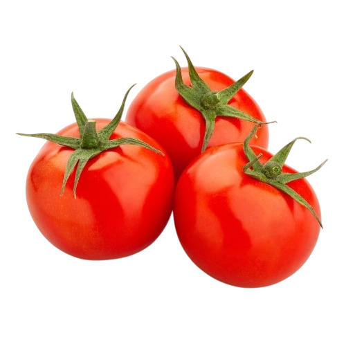 Fresh Tomato 