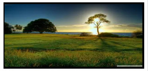 P5 Outdoor Led Video Wall