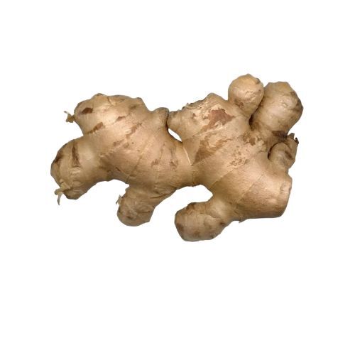 Brown Ginger