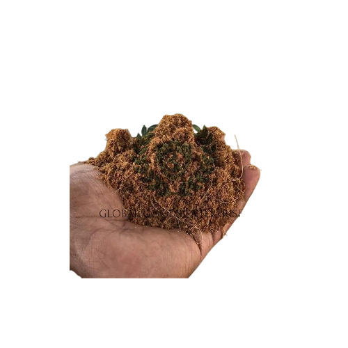 Coco Peat Powder