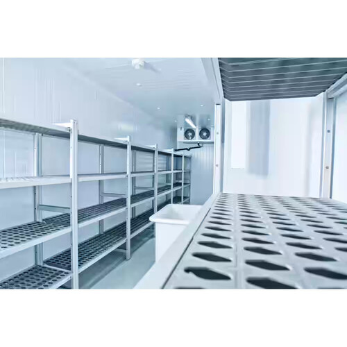 Cold Storage Service