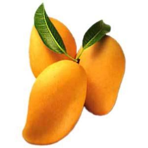 Fresh Delicious Mango