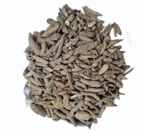Ativish Kadvi Herb 