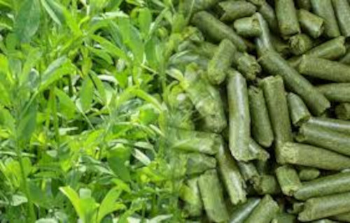 Alfalfa Hay And Pellets