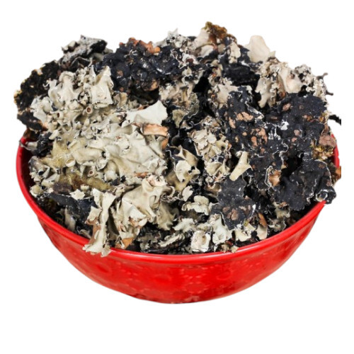 Kalpasi (Black Stone Flower)