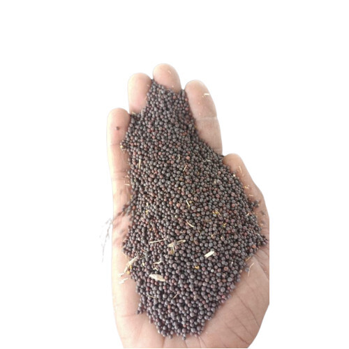 Mustard Seeds - Color: Brown