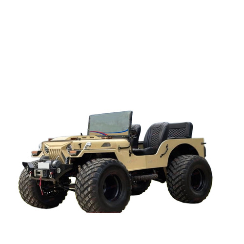 Modern Look Modified Jeep