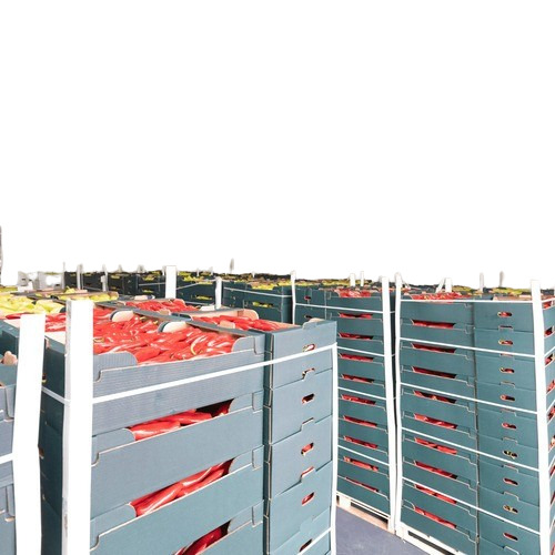 1 Mt Commercial Cold Storage - Material: Aluminum