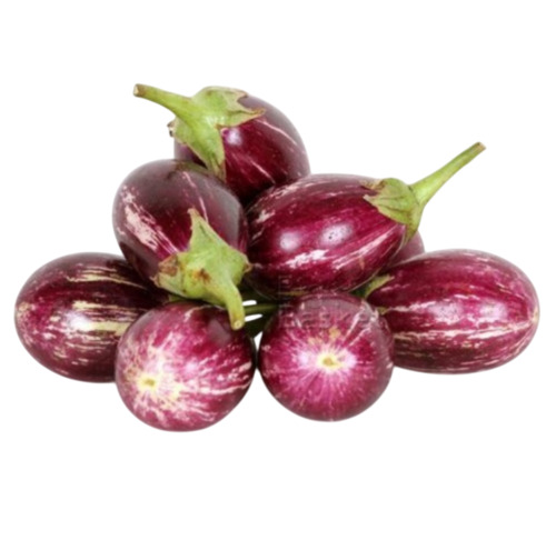 Fresh Brinjal - Packaging Size: 50 Kg