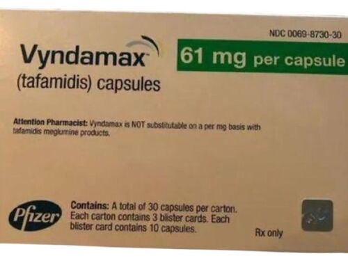 Vyndamax Capsule