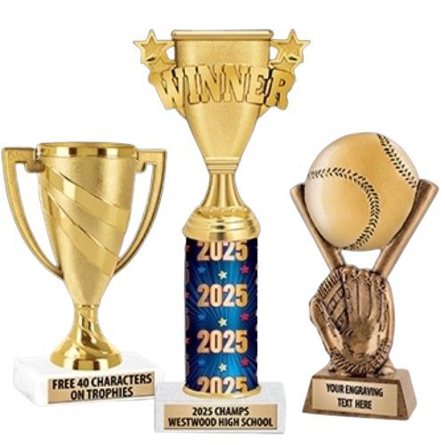 Premium Design Sports Trophy