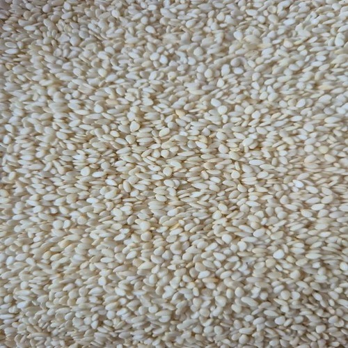 Sesame Seed