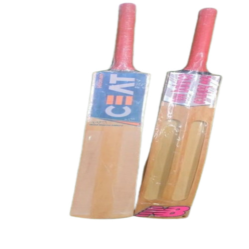 Willow Cricket Bat