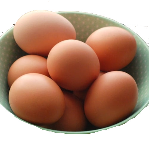 Chicken Eggs