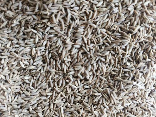 Dried Cumin Seed - Color: Brown