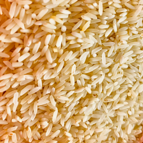 Sona Masuri Rice
