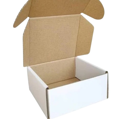 Plain White Corrugated Box