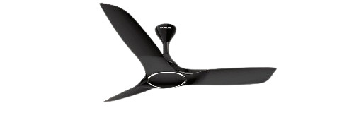 Ceiling Fans