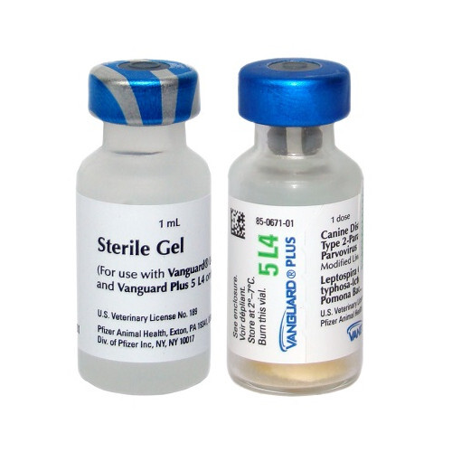 Vanguard Plus 5 L4 CV Vaccine