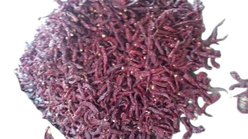 Strong Aroma Red Chilli - Color: All