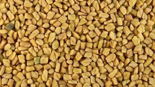 Dry Fenugreek Seeds - Color: Yellow